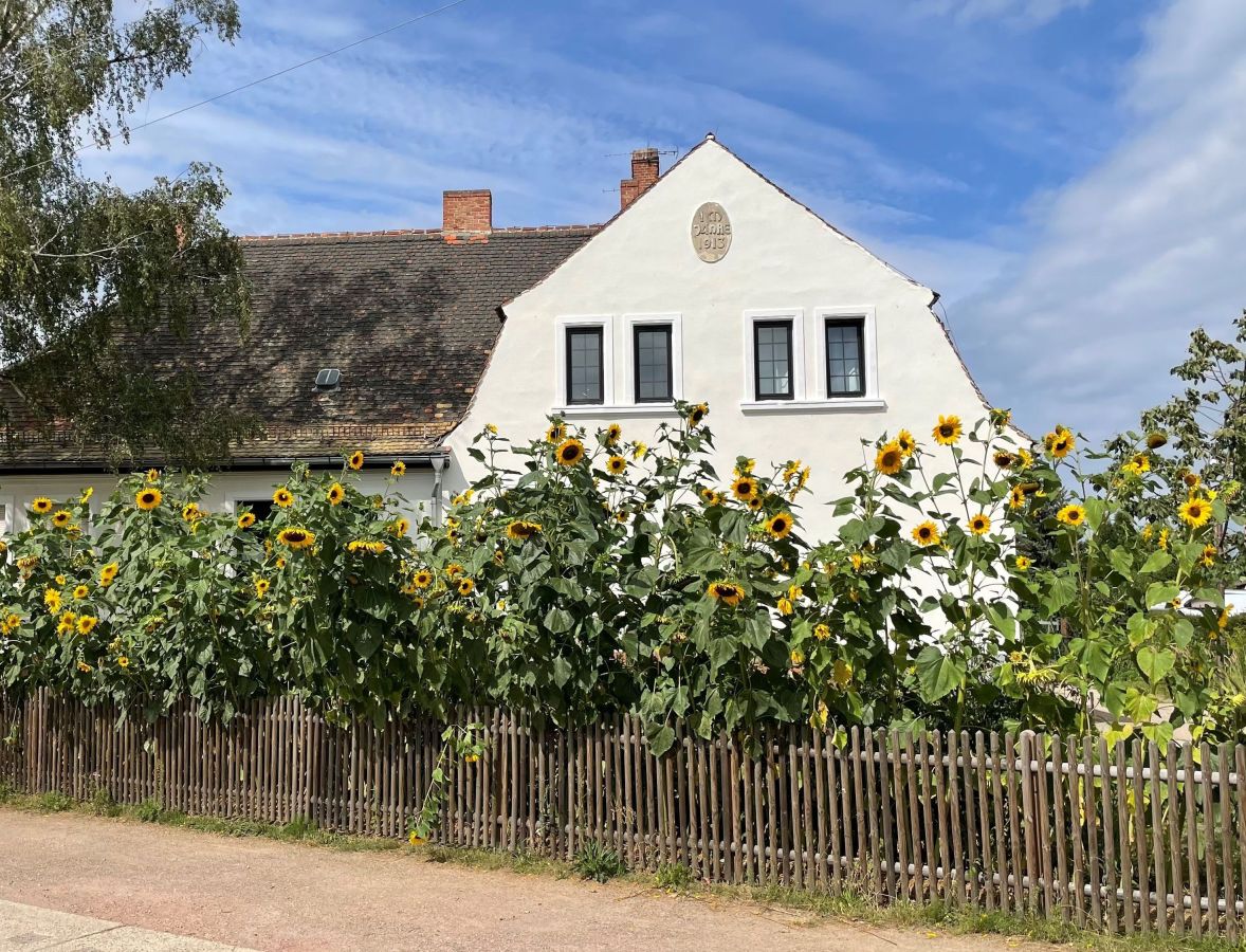 Freie Waldorfschule Dessau