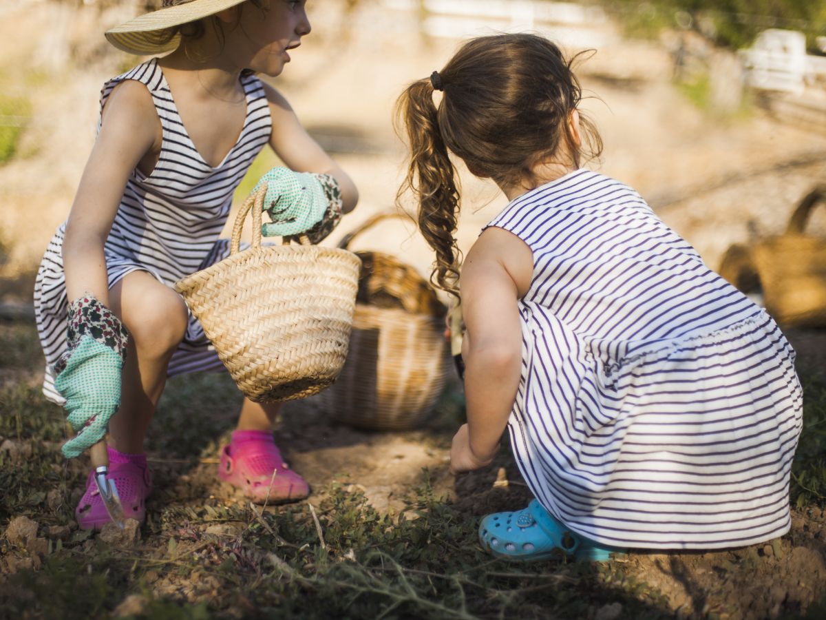 Besondere Fächer an Waldorfschulen - Gartenbau